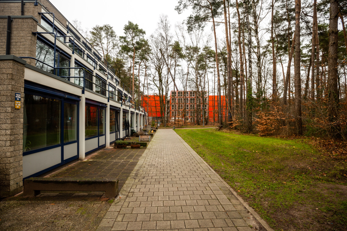 Woningen aan de Witbreuksweg waren afgelopen voorjaar doelwit.