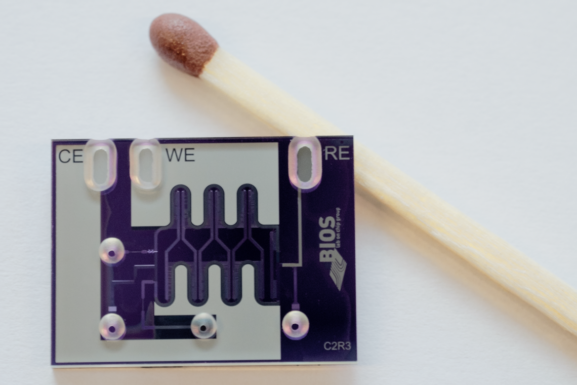 The fast chip developed at the UT